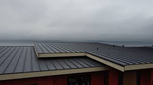 Best Sheet Metal Roofing  in Forest Lake, MN